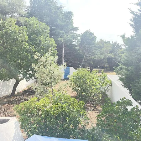 Maison Cosy Avec Jardin Clos, Proche Plage, Court De Tennis, Barbecue, Animaux Admis - Fr-1-224b-232 *